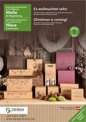 christmas packaging - 