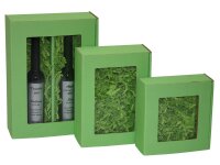 Sofia window M light green