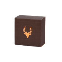 Amsterdam Allround Trophy