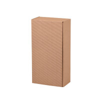 Flaschenverpackung Amsterdam für 1–3 Flaschen