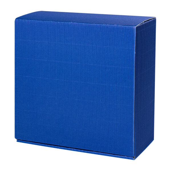 Amsterdam Allround M blau