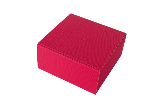 Amsterdam Allround L rot