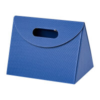 carrying box paris blue