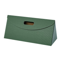 carrying box paris dark green